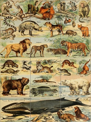 Piastrella murale mosaico - piastrella, murale/mosaico