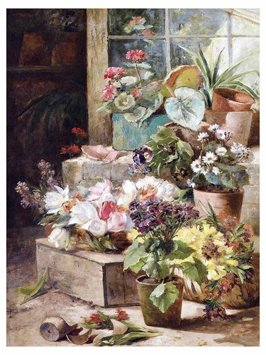 Fiori pots accento piastrella - fiori,