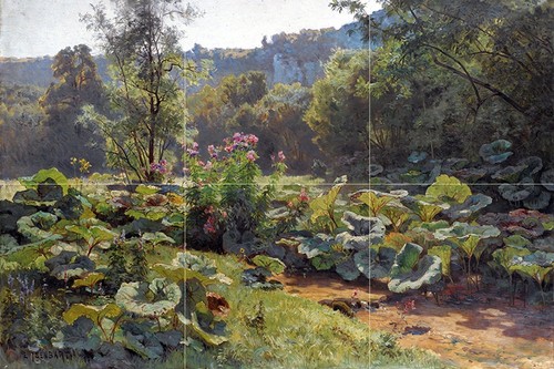 Fiori verdi isenbart - fiori,