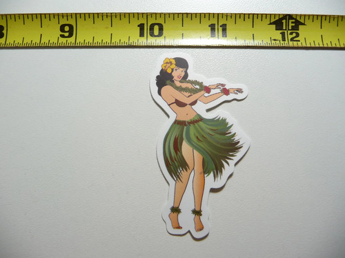 Hawaii hula dancer - dancer, danza