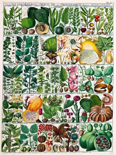 Piastrella murale mosaico - piastrella, murale/mosaico